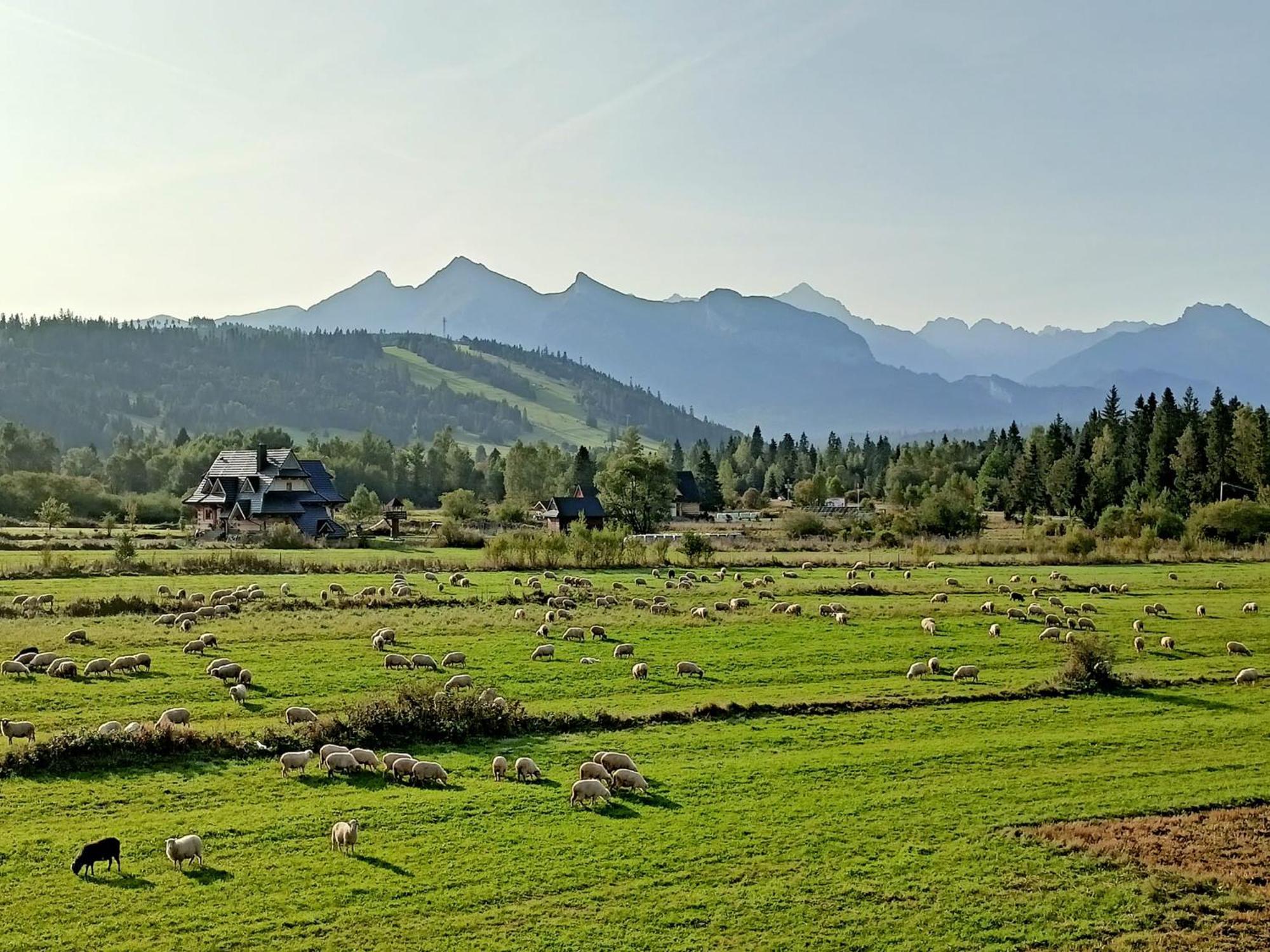 Domek Z Goralska Dusza Sleboda Jurgów Exteriér fotografie